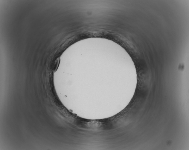 X0000096650225200803041156