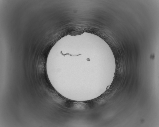 X0000096650226200803041156