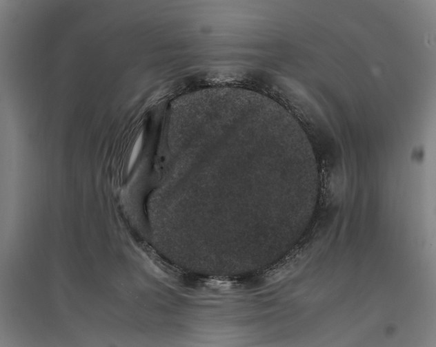 X0000096650227200803041156