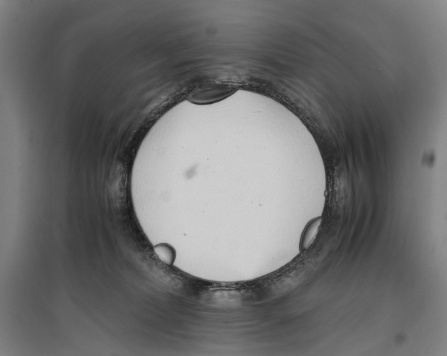 X0000096650228200803041156