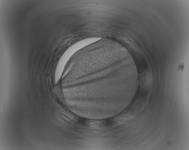 X0000096650229200803041156