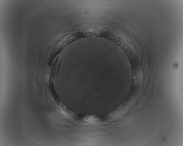 X0000096650231200803041156