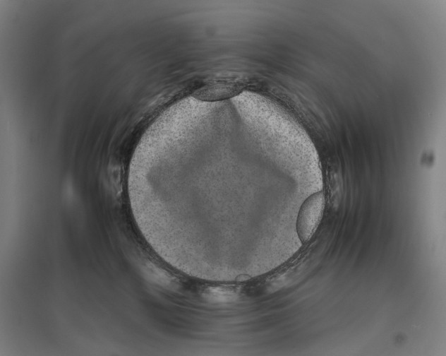 X0000096650232200803041156