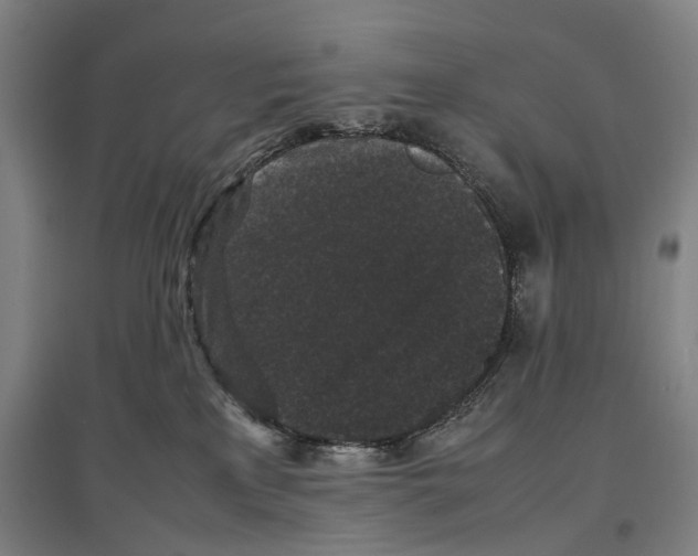 X0000096650233200803041156