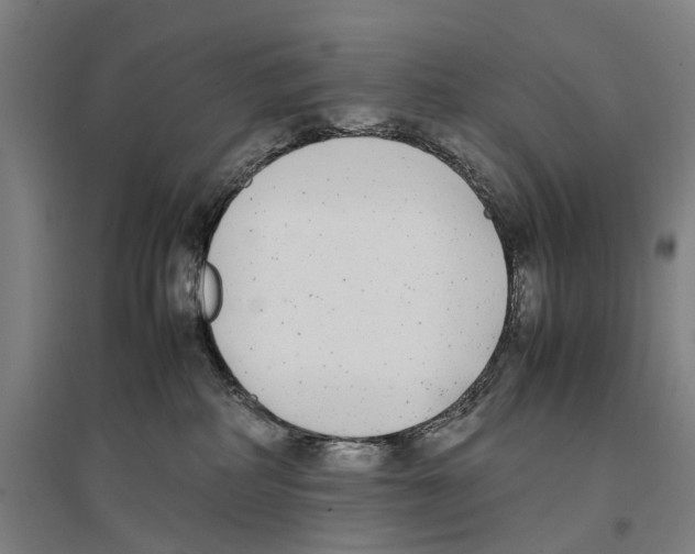 X0000096650234200803041156