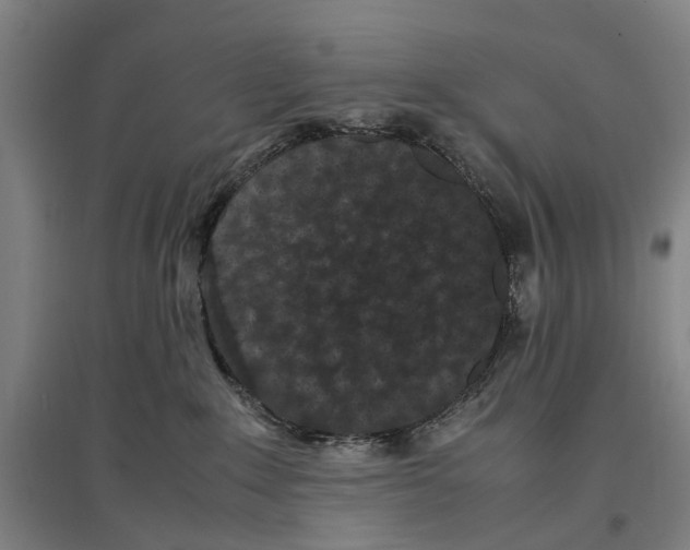 X0000096650235200803041156