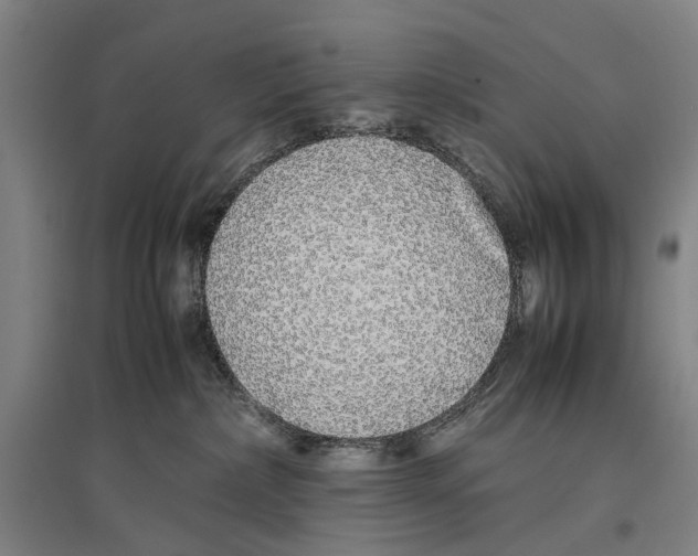 X0000096650236200803041156