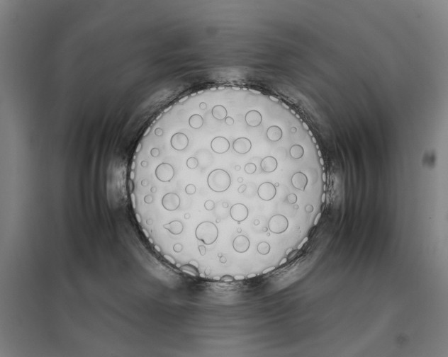 X0000096650238200803041156