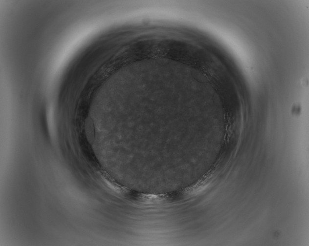 X0000096650239200803041156