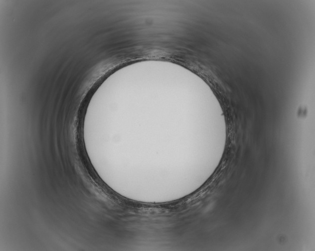 X0000096650242200803041155