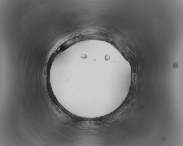 X0000096650244200803041155