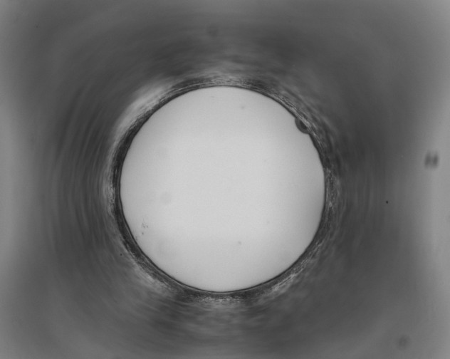 X0000096650245200803041155