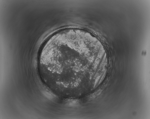 X0000096650247200803041155