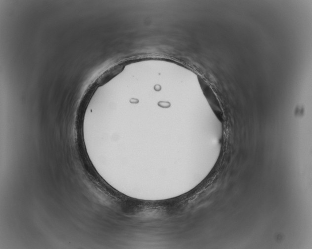 X0000096650248200803041155