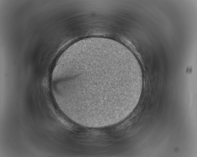 X0000096650249200803041155