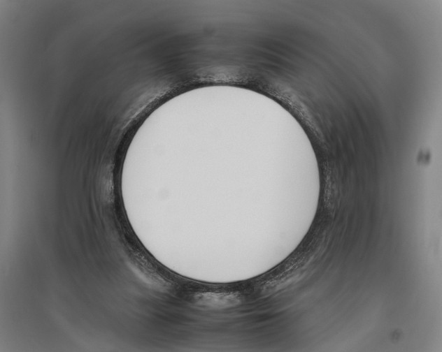 X0000096650251200803041155