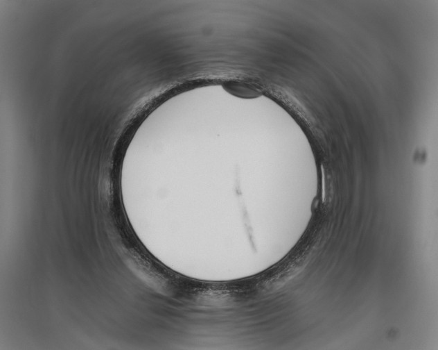 X0000096650252200803041155