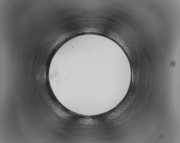 X0000096650253200803041155