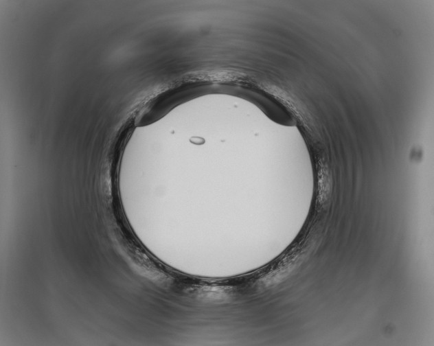 X0000096650254200803041155