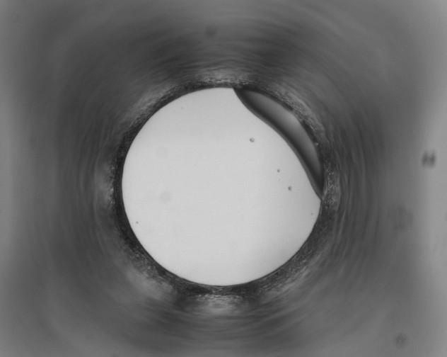 X0000096650255200803041155