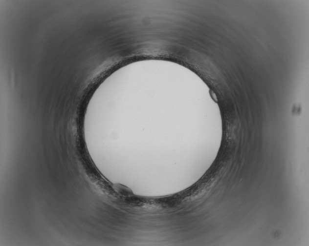 X0000096650256200803041155