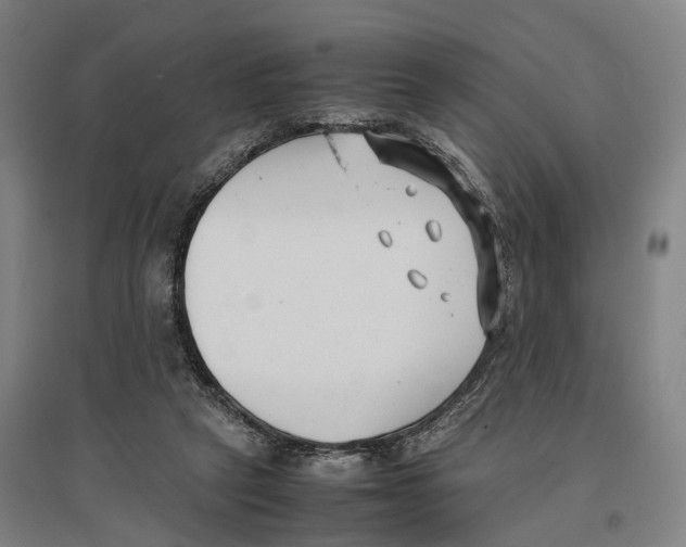 X0000096650257200803041155