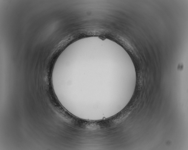 X0000096650258200803041155