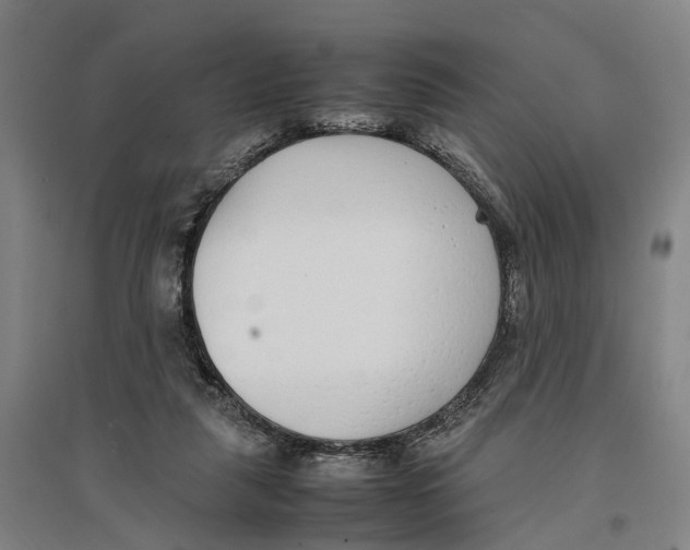 X0000096650259200803041155