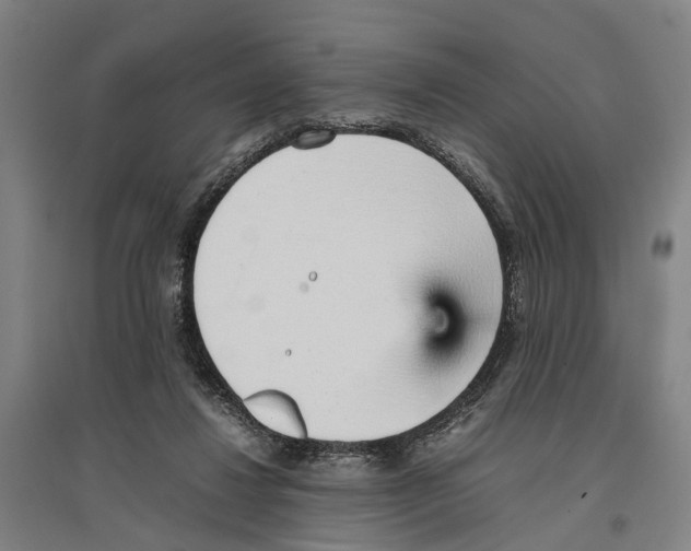 X0000096650260200803041155