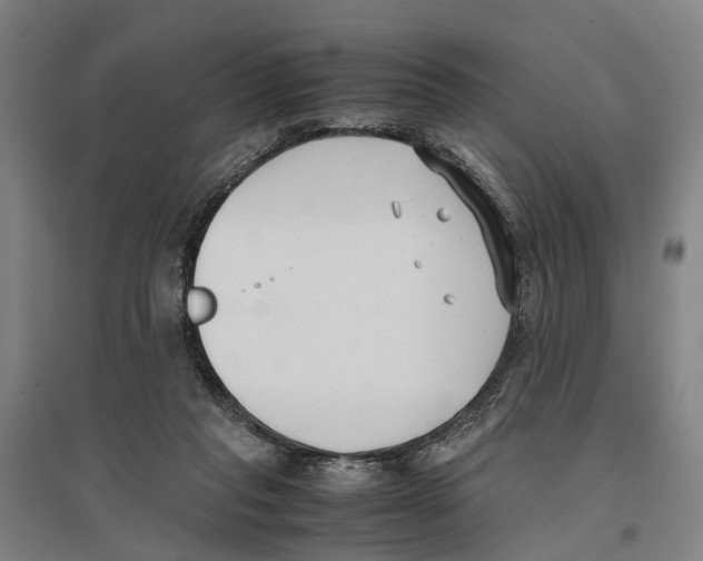 X0000096650261200803041155