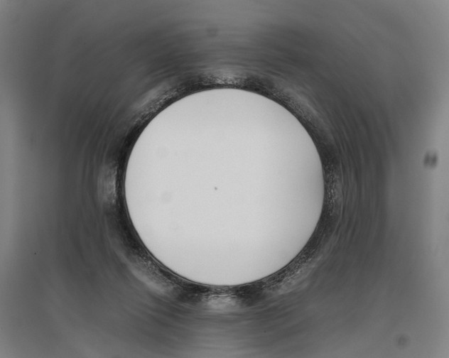 X0000096650262200803041155