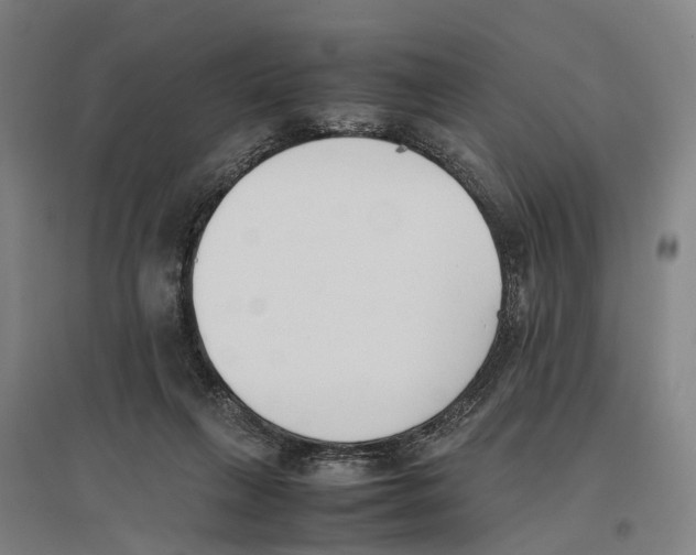 X0000096650263200803041156