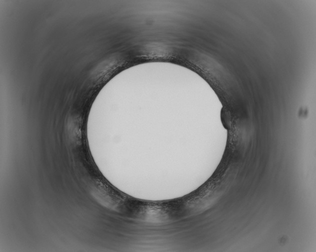 X0000096650264200803041156