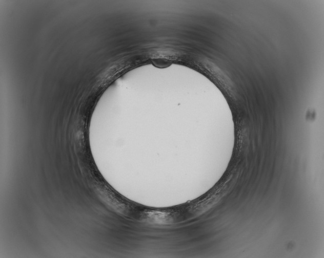 X0000096650265200803041156