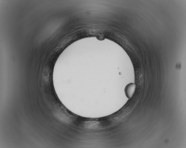 X0000096650266200803041156