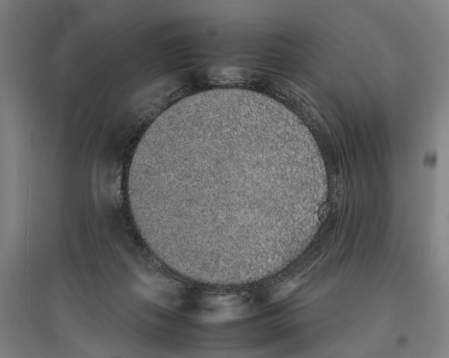 X0000096650267200803041156