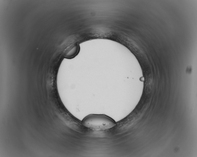 X0000096650268200803041156