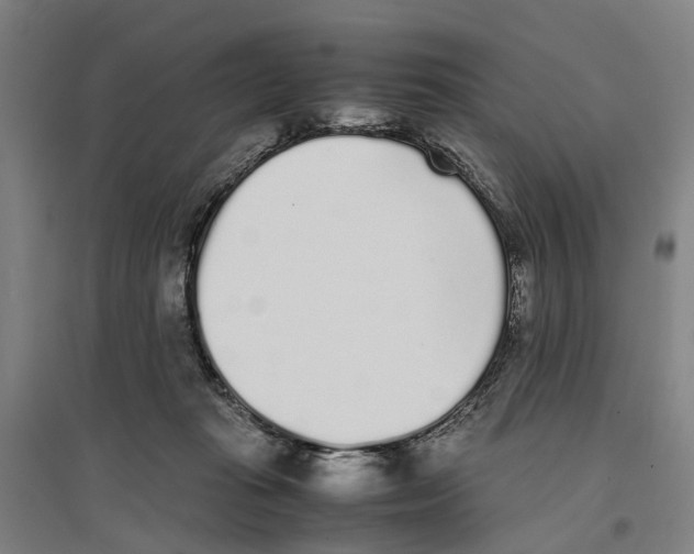 X0000096650269200803041156