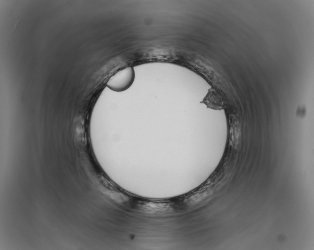 X0000096650270200803041156