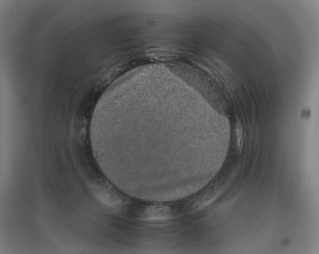 X0000096650271200803041156