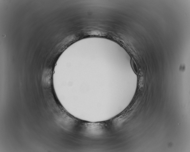 X0000096650273200803041156