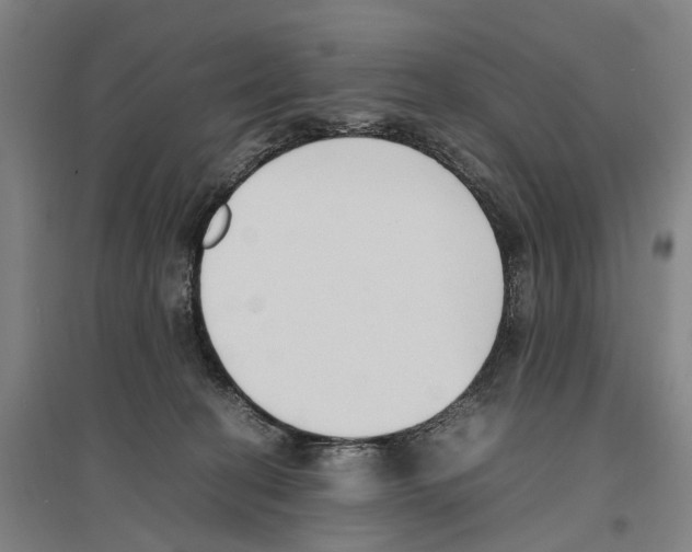 X0000096650274200803041156