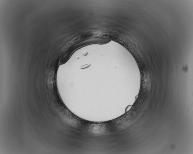 X0000096650275200803041156