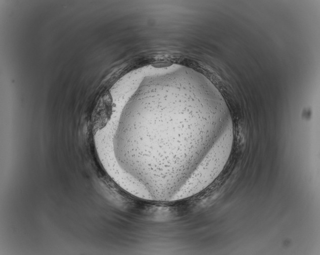 X0000096650276200803041156