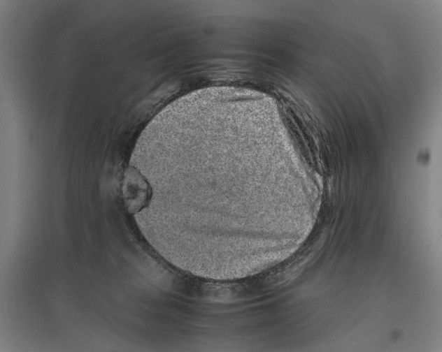 X0000096650277200803041156