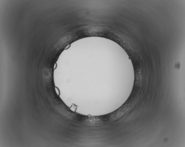 X0000096650278200803041156