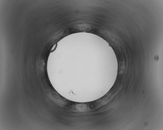 X0000096650279200803041156