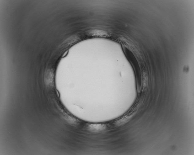 X0000096650281200803041156