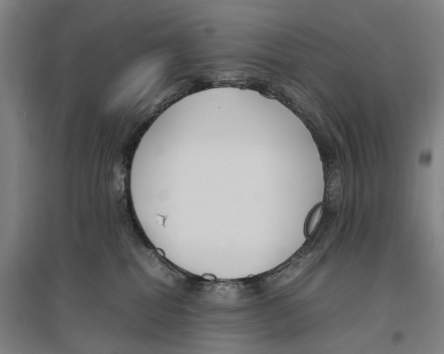 X0000096650282200803041156