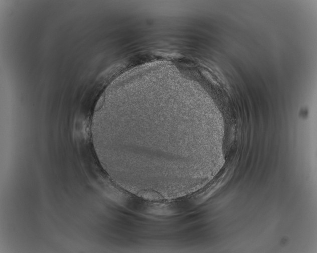 X0000096650285200803041156